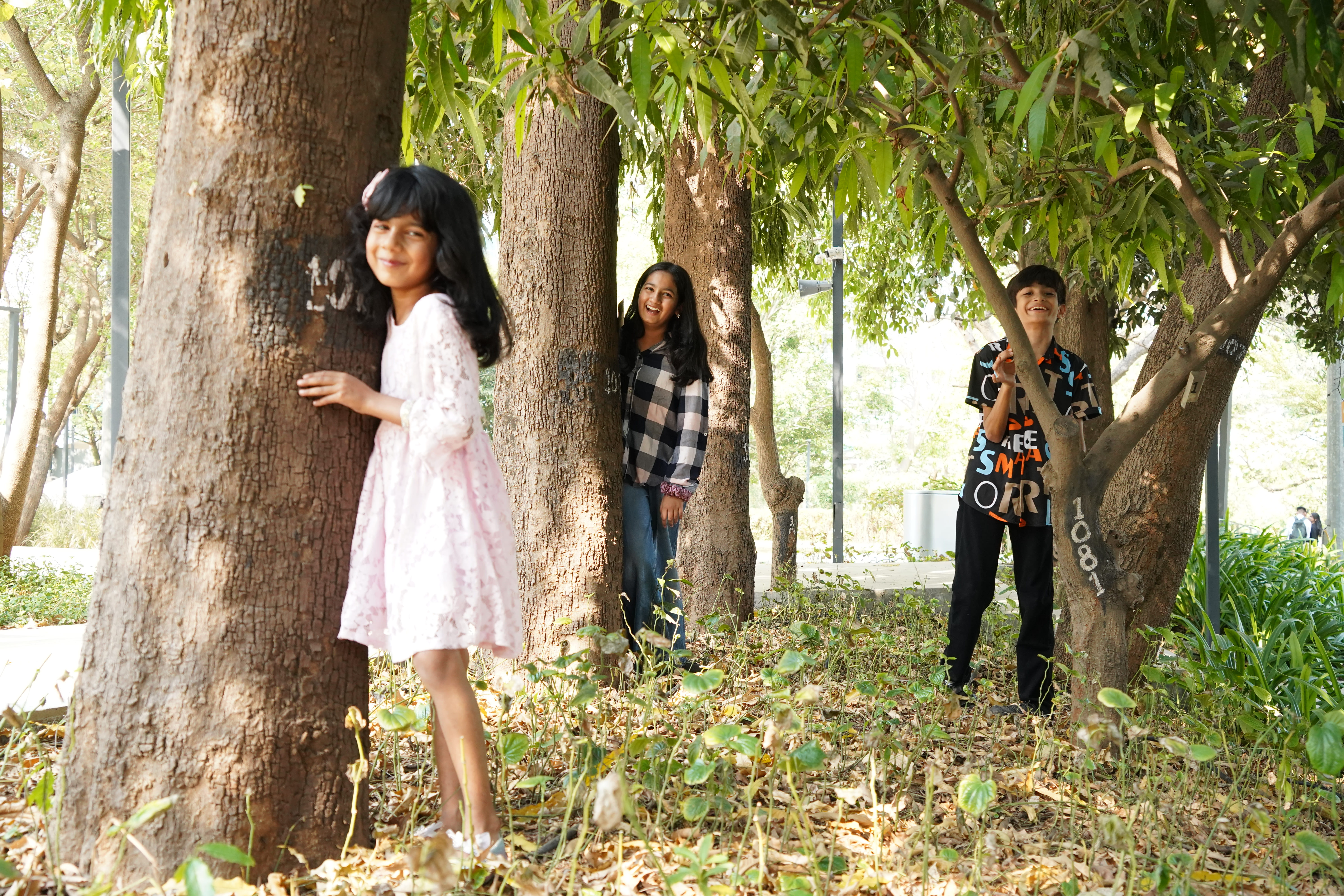 Playground
